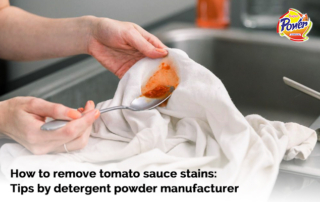 detergent powder manufacturer